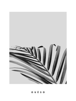 Poster - feuille de dattier