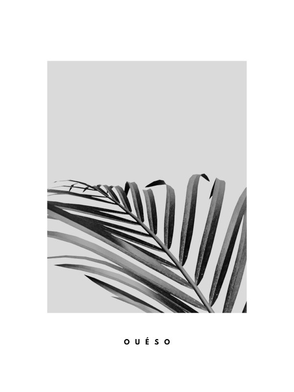 Affiche -feuille de dattier