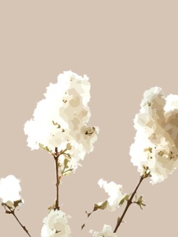 Affiche - Flower WHITE - Affiches | Oueso - Art Afro Contemporain