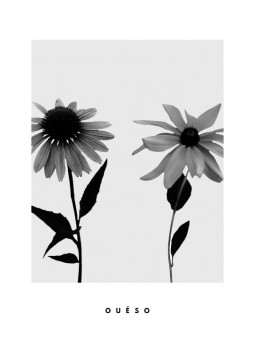 Affiche - Fleurs3