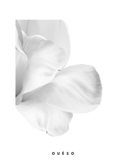 Affiche - Fleurs CP