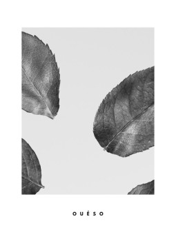 Affiche - TREE LEAF