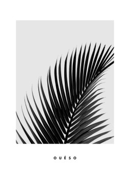 Poster - Feuille de dattier