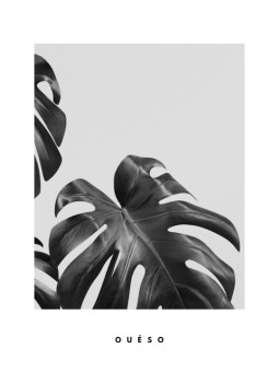 Affiche - Feuille de d'arbre