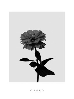 Poster - Flower LOVE