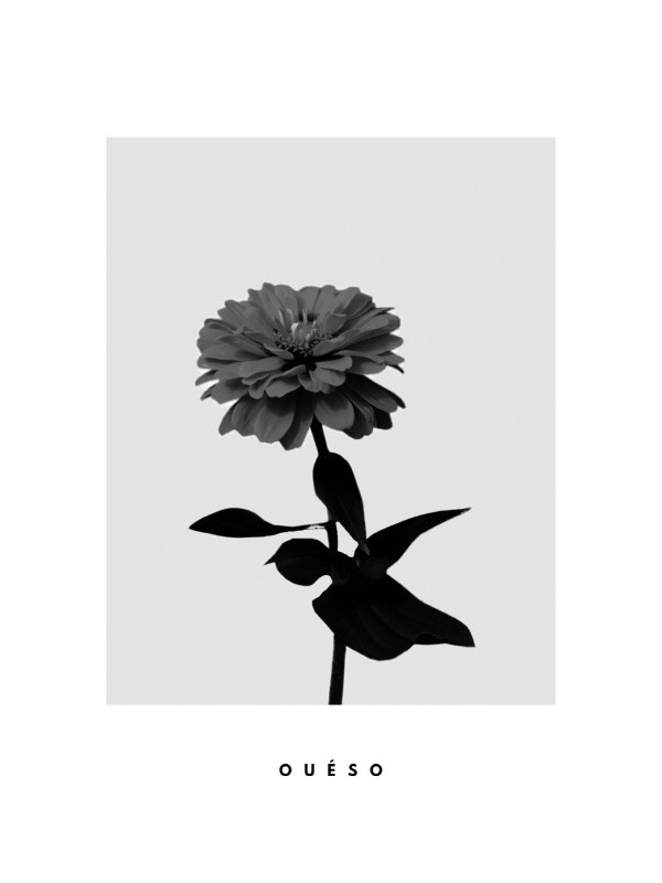 Affiche - Flower LOVE