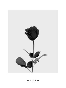 Affiche - Fleur D'amour