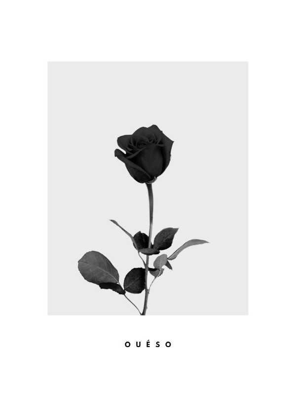 Affiche - Fleur D'amour Affiche - Fleur D'amour