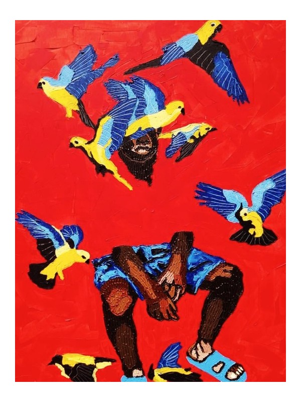 Poster - Afro OISEAUX (Daniel Gyekyi Gyan)