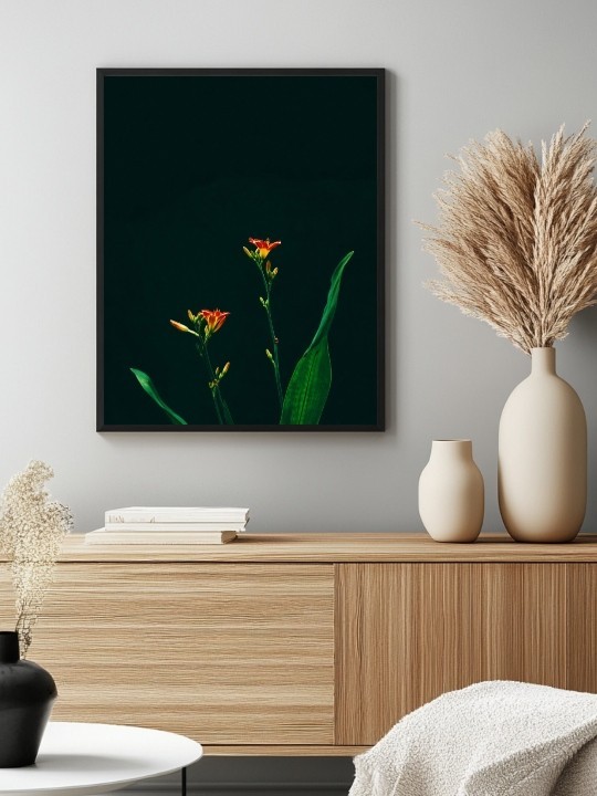 Affiche - fleurs Botanique-Accueil-OUESO