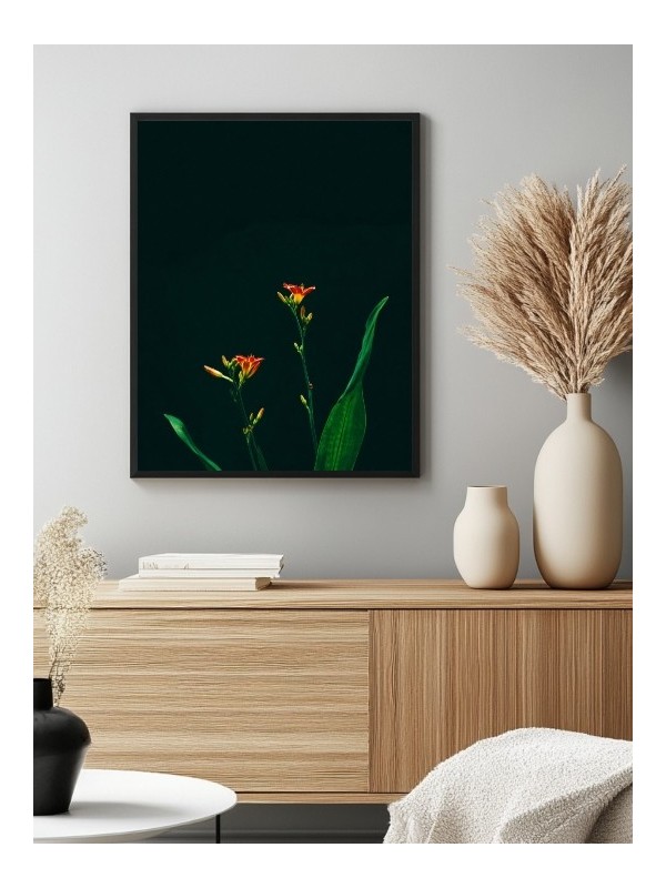Poster - fleurs Botanique - Accueil | Oueso - Contemporary Afro Art