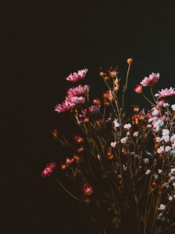 Poster - Jolie fleur