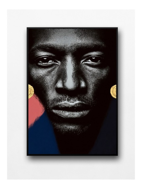 Framed poster - Didi