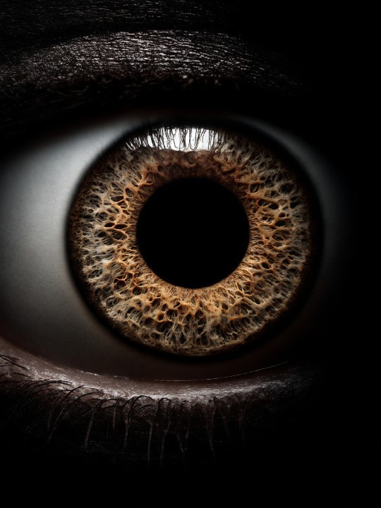 Affiche - Noyau-Accueil-OUESO