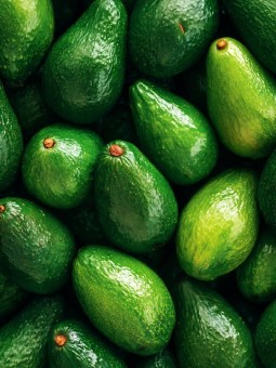 Poster - Tewali - Accueil | Oueso - Contemporary Afro Art