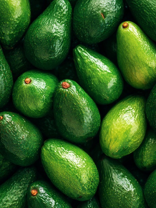 Affiche - Tewali - Accueil | Oueso - Art Afro Contemporain Affiche - Tewali-Accueil-OUESO