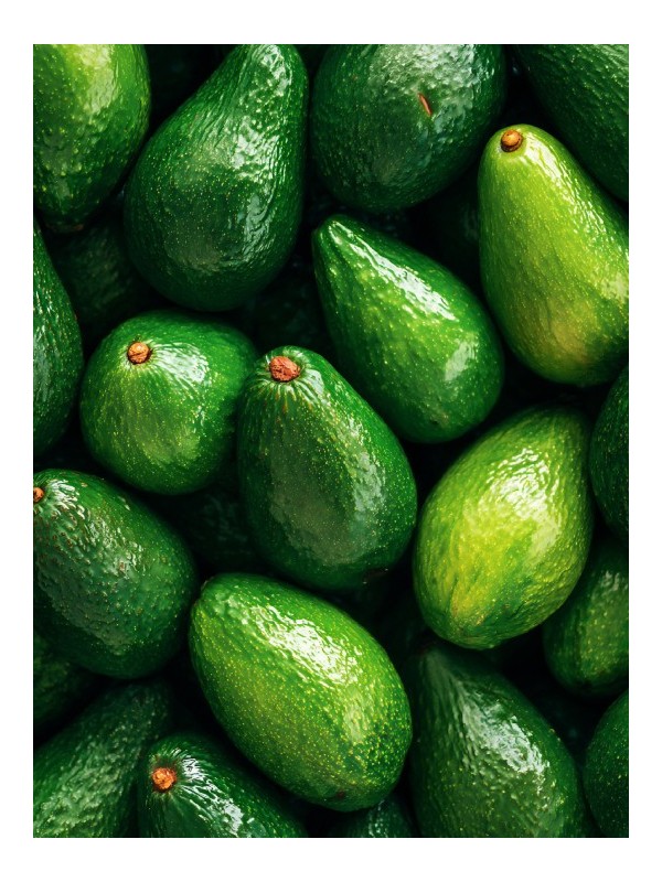 Affiche - Tewali - Accueil | Oueso - Art Afro Contemporain Affiche - Tewali - Accueil | Oueso - Art Afro Contemporain