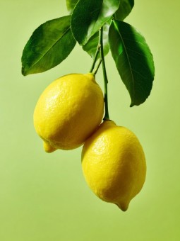 Poster - Authentique