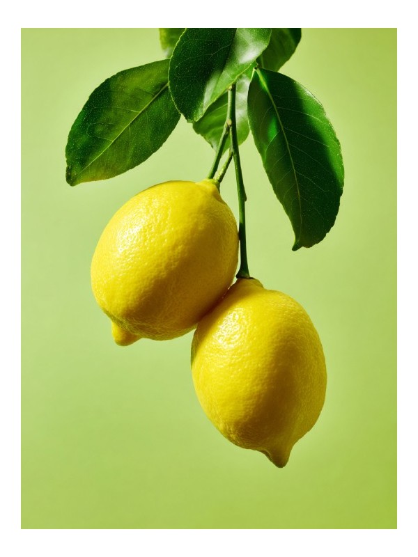 Poster - Zalita - Accueil | Oueso - Contemporary Afro Art Poster - Zalita - Accueil | Oueso - Contemporary Afro Art