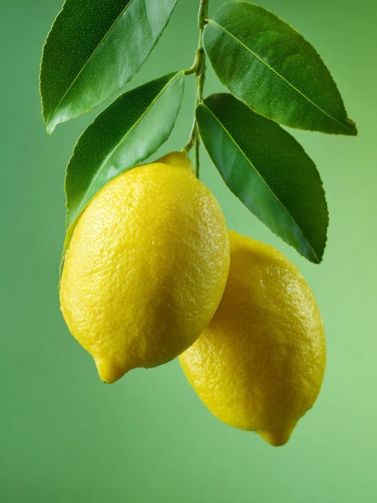 Affiche - Mankora-Accueil-OUESO