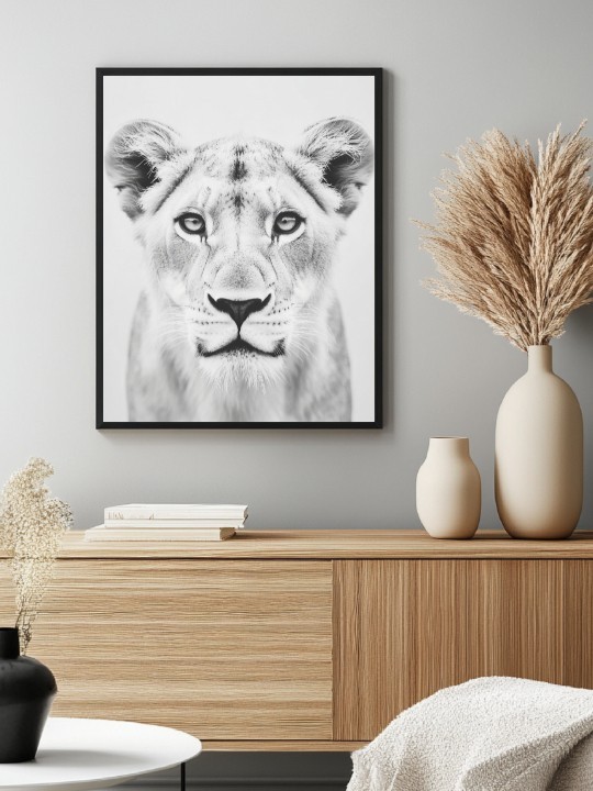 Affiche - Jamèya Affiche - Jamèya-Accueil-OUESO