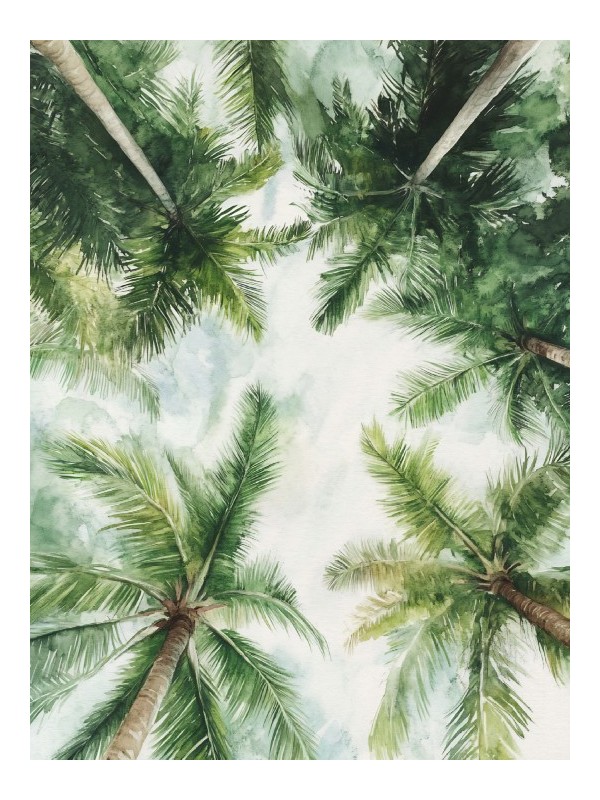 Poster - Woudéma Poster - Woudéma