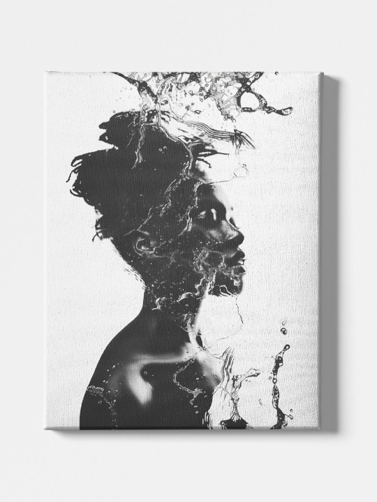 Toile - Eau-Accueil-OUESO