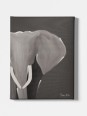 Canvas - African elephant (Beaux arts)