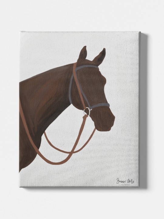 Canvas --Accueil-OUESO