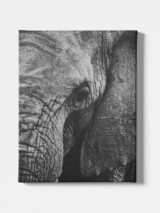 Canvas - Kora-Accueil-OUESO