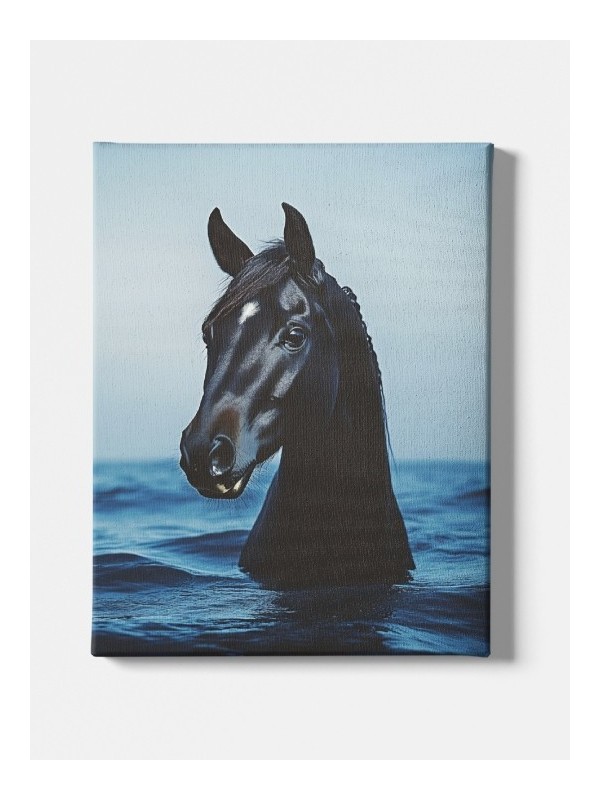 Canvas - Cheval Noir