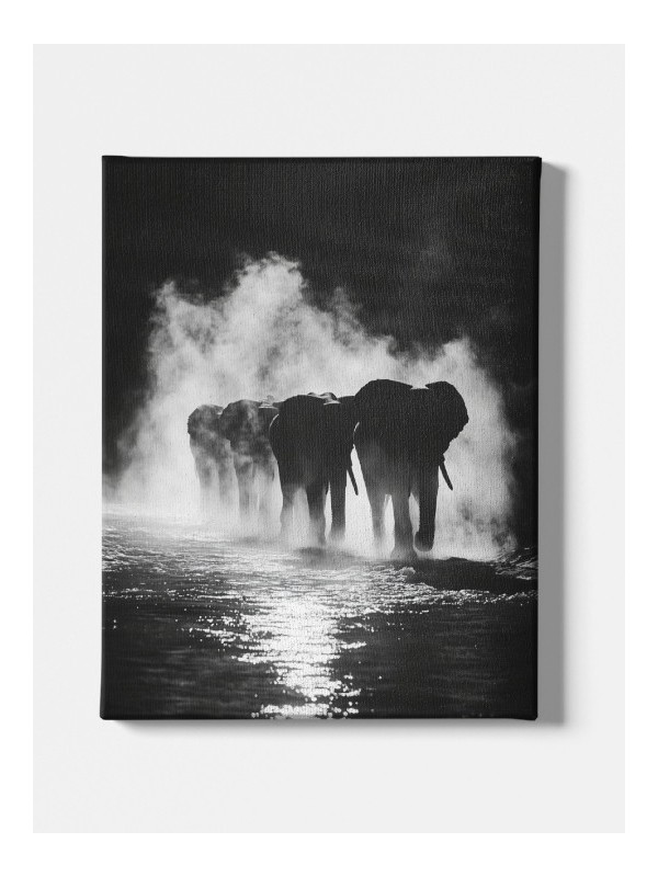 Canvas - Herds of elephants Canvas - Herds of elephants