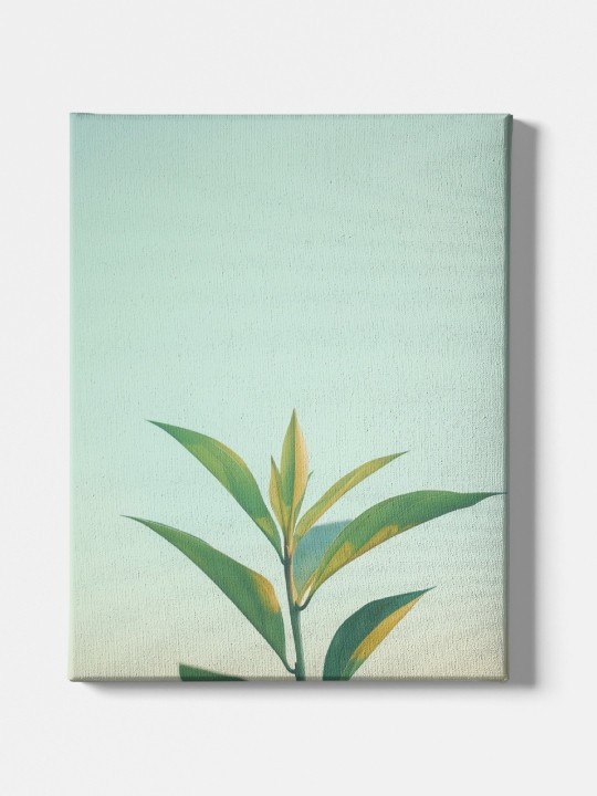 Toile - Lonely Plant-Accueil-OUESO