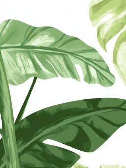 Poster - Botanique 03