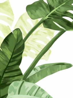 Poster - Kone botanical