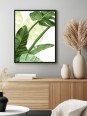 Poster - Kone botanical