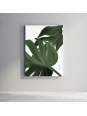 Plexiglas - Plante (Beaux arts)