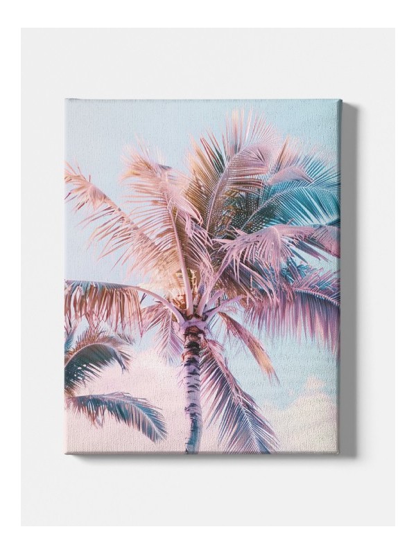 Toile - Doum Toile - Doum