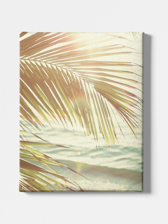 Canvas - Summer Kintu-Accueil-OUESO