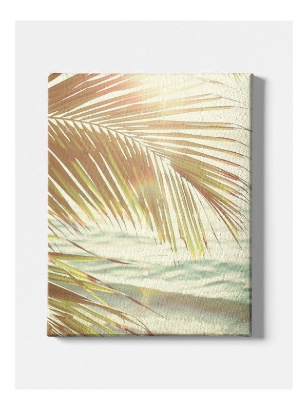 Canvas - Summer Kintu