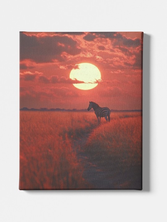 Canvas - Zèbre-Accueil-OUESO