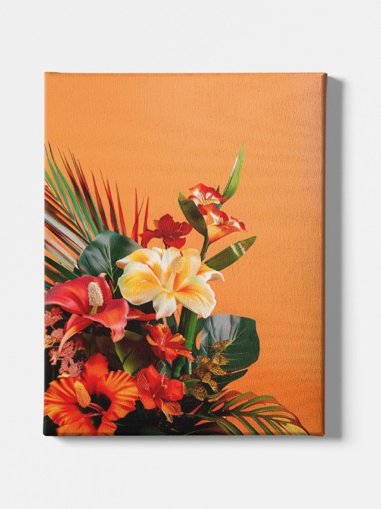 Toile - Flora-Accueil-OUESO