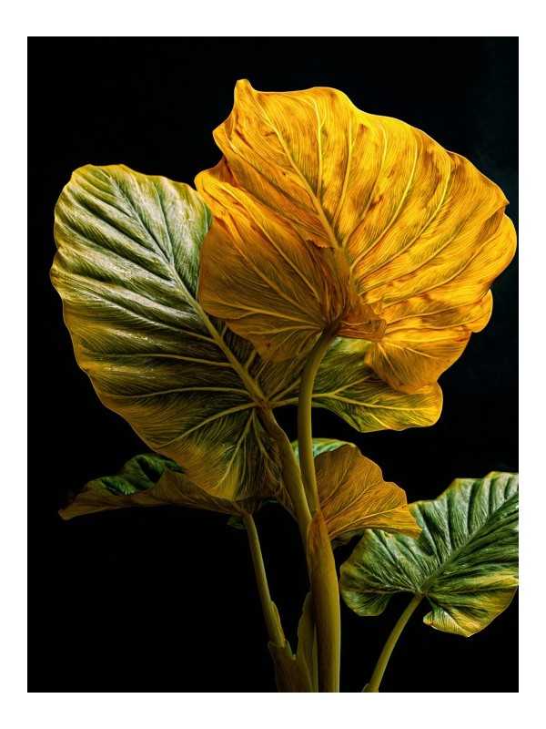 Poster - Cens - Accueil | Oueso - Contemporary Afro Art Poster - Cens - Accueil | Oueso - Contemporary Afro Art