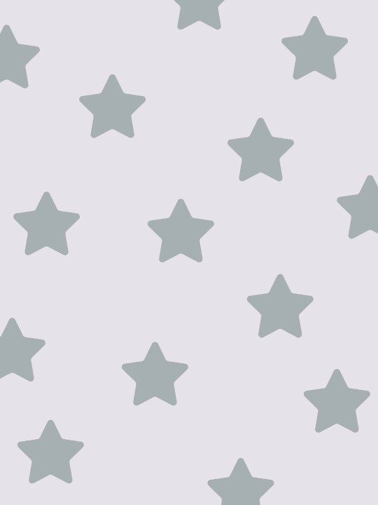 Poster - Etoile gris-Accueil-OUESO