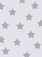 Poster - Etoile gris