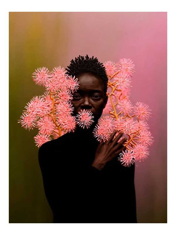 Poster - Sedese - Accueil | Oueso - Contemporary Afro Art