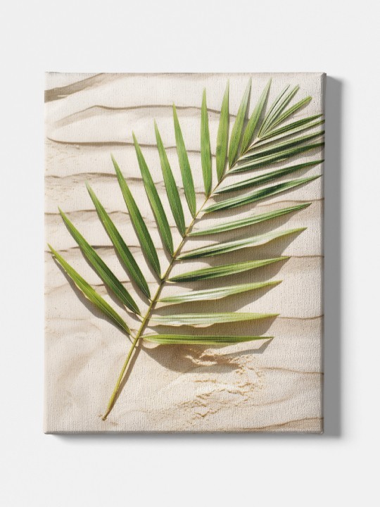 Canvas - Ensablé-Accueil-OUESO