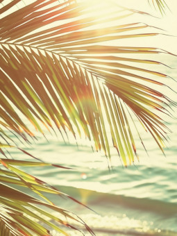 Affiche - Summer Kintu - Accueil | Oueso - Art Afro Contemporain