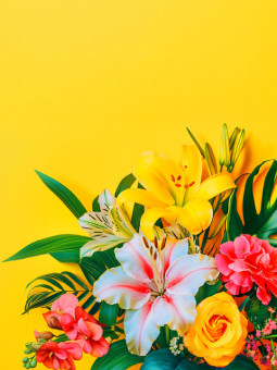 Affiche - Yellow Flower - Accueil | Oueso - Art Afro Contemporain