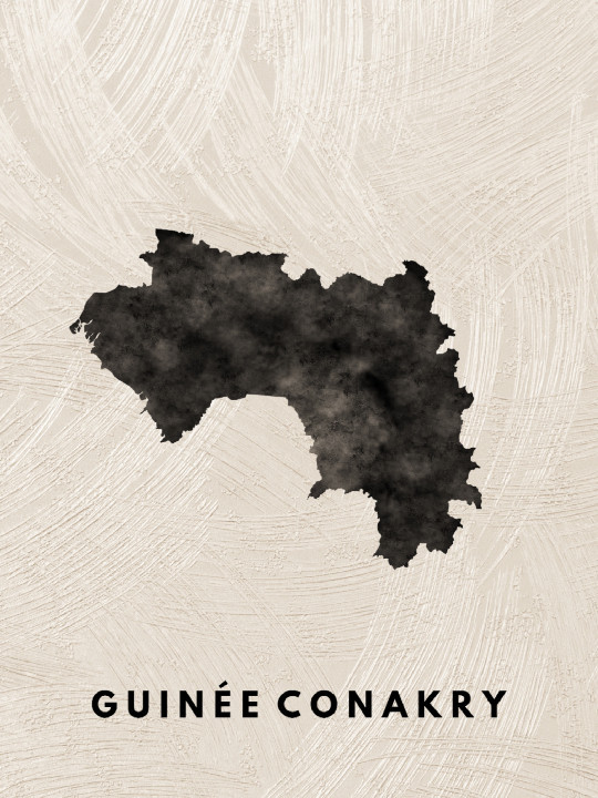 Poster - Guinée Conakry-Accueil-OUESO